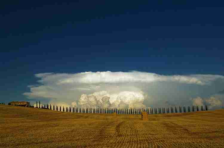 景德镇陶瓷大学校花齐清瑶